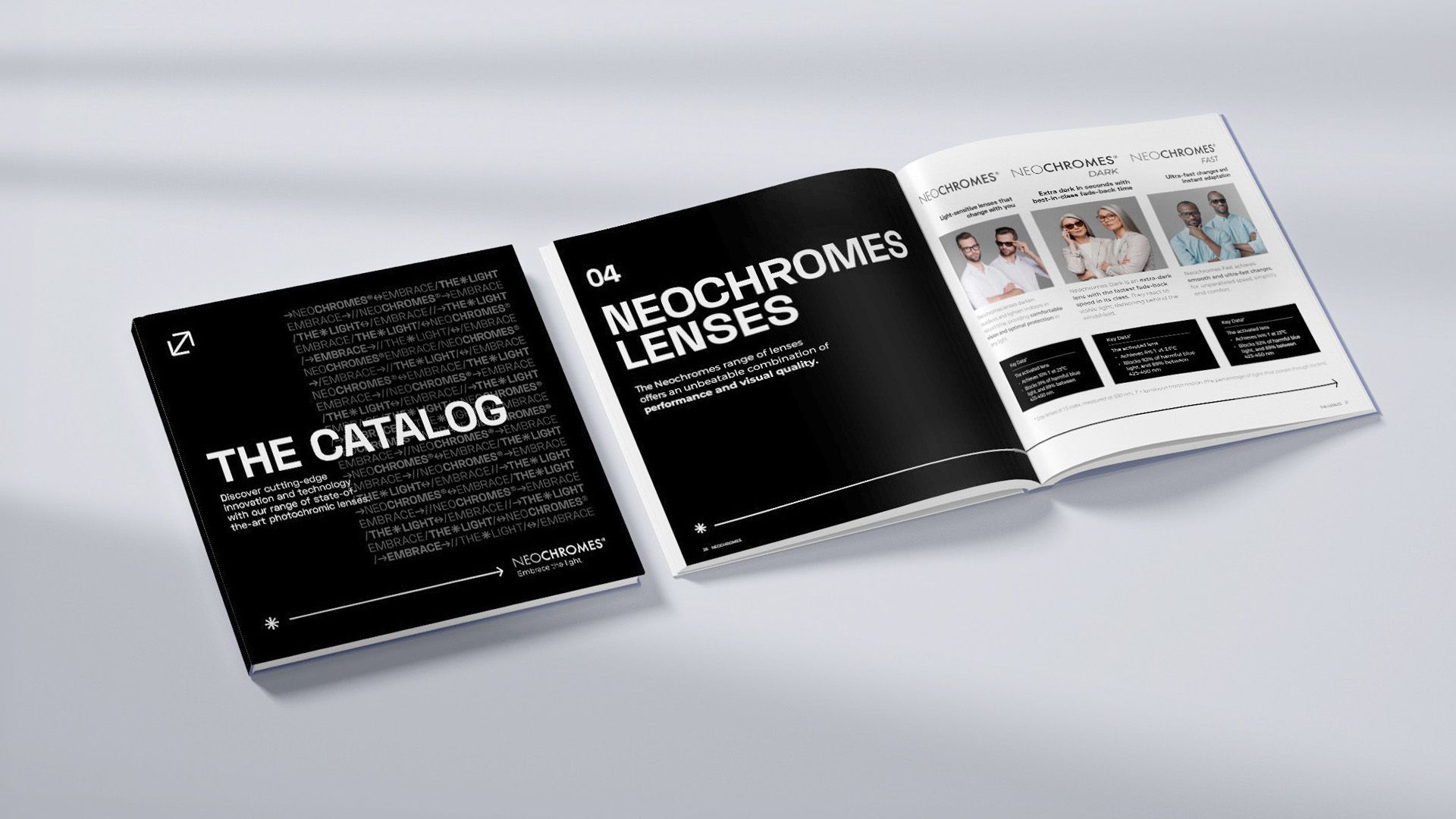 The Catalog