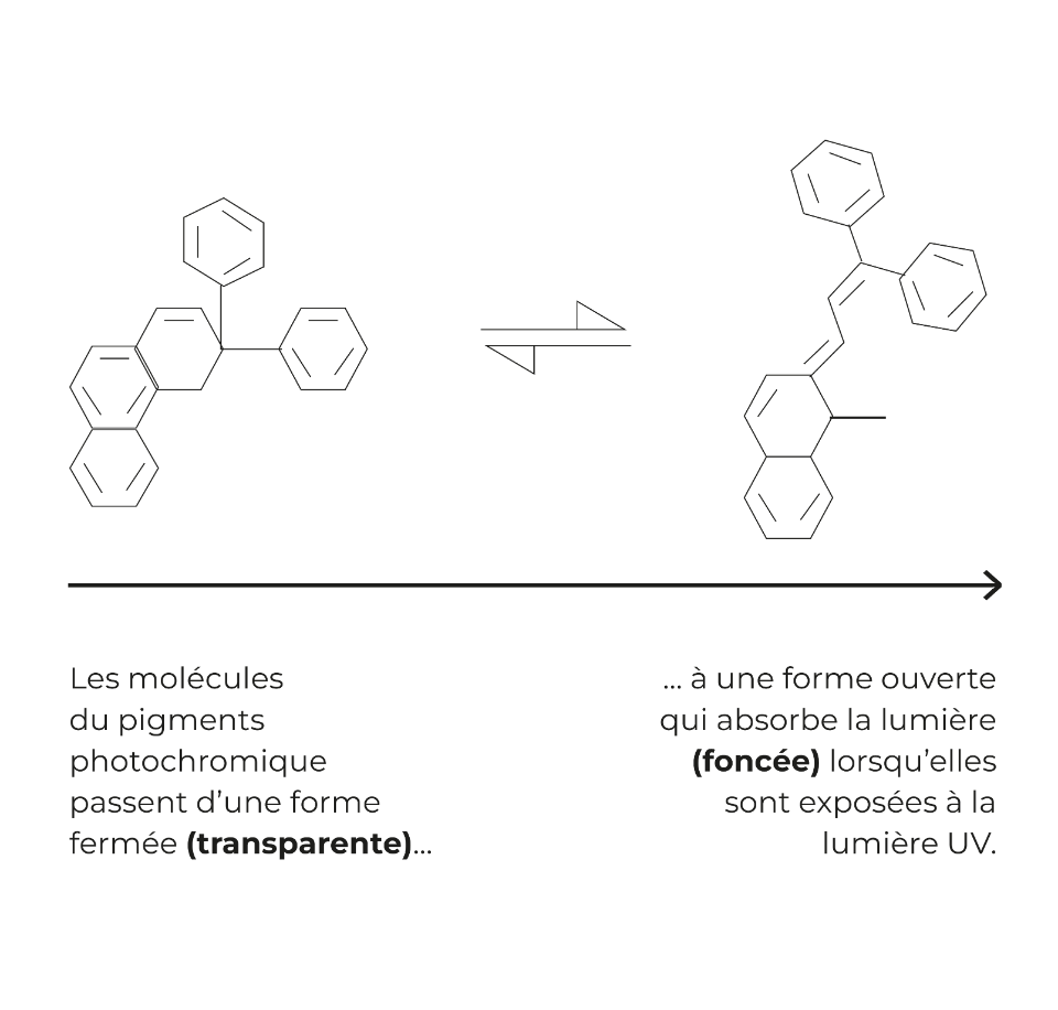 Pas de texte alternatif disponible pour l'image