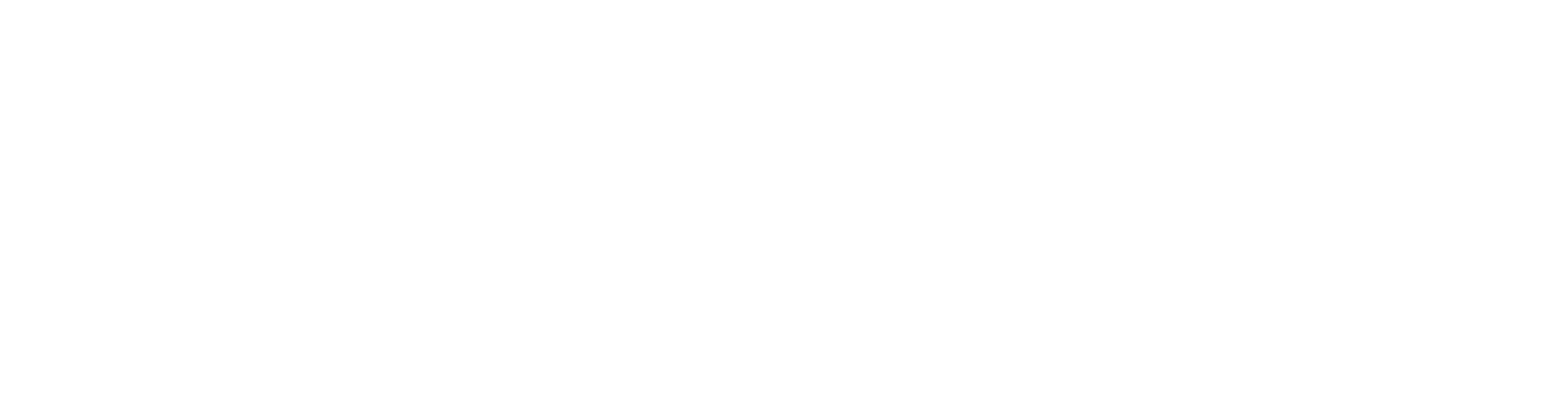 Neochromes logo with slogan "Embrace the light"